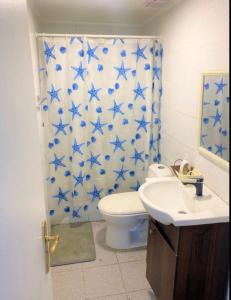 サンティアゴにあるOportunidadのバスルーム(トイレ、青い星のシャワーカーテン付)