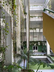 Vonkajšia záhrada v ubytovaní Bahia I