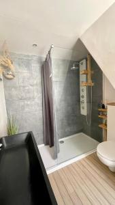 een badkamer met een douche en een toilet bij La Rive - Charmant logement bord de Marne in Champigny-sur-Marne