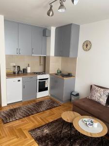 eine Küche und ein Wohnzimmer mit einem Sofa und einem Tisch in der Unterkunft Apartman Kalina in Donje Mladice