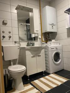 ein Badezimmer mit einem WC, einem Waschbecken und einer Waschmaschine in der Unterkunft Apartman Kalina in Donje Mladice