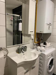 ein Badezimmer mit einem Waschbecken und einer Waschmaschine in der Unterkunft Apartman Kalina in Donje Mladice