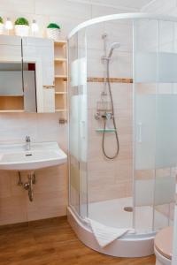a bathroom with a shower and a sink at Ferienwohnung Marth in Sankt Andreasberg