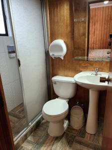 a bathroom with a toilet and a sink at Hotel CasaGrande in Valdivia