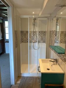 a bathroom with a shower and a sink at La maison du Bec en Normandie in Le Bec-Hellouin