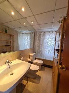 een badkamer met een wastafel en een toilet bij Apartamento Edificio Santa Margarita in Benidorm