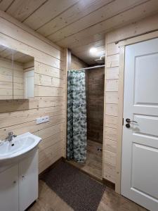 a bathroom with a shower and a sink at Milkės Karibai - poilsio namelis su sauna ir kubilu 