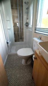 a bathroom with a shower and a toilet and a sink at Roecliff in St Austell