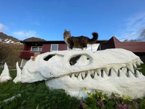 Φωτογραφία από το άλμπουμ του Lofoten Red Villa σε Laupstad