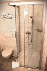 bagno con doccia e servizi igienici. di Hotel zu den Linden a Wachtberg