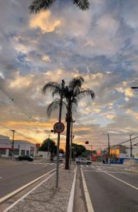 una palmera sentada al lado de una calle en Poupahotel, en Taubaté