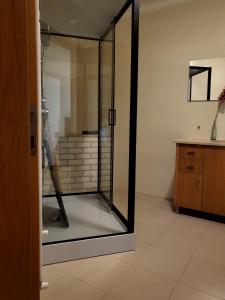 フィゲイラ・ダ・フォズにあるBlue Bird House - BBHの階段のある客室で、ガラス張りのシャワーが備わります。
