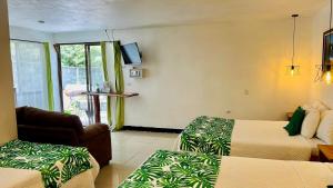 Habitación de hotel con 2 camas y TV en Freddy`s Place B&B, en Monteverde