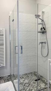een badkamer met een glazen douchecabine bij Linden Apartman 106 - Adults Only in Mosonmagyaróvár