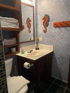 a bathroom with a sink and a mirror and a toilet at Belize Budget Suites in San Pedro