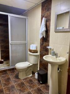 y baño con aseo, lavabo y ducha. en Apartamento pinares Santa Rosa en Santa Rosa de Cabal