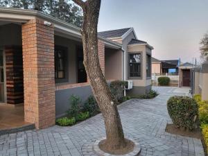 een huis met een boom op de oprit bij @ 21 Guest House in Pietermaritzburg