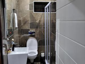 La salle de bains est pourvue de toilettes, d'un lavabo et d'une douche. dans l'établissement @ 21 Guest House, à Pietermaritzburg