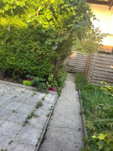 un jardin avec des plantes et un trottoir dans l'établissement Casita, au Blanc-Mesnil