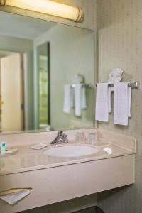 baño con lavabo y espejo grande en SpringHill Suites Charlotte University Research Park en Charlotte