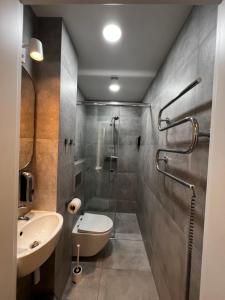 a bathroom with a shower and a toilet and a sink at Tilzes Studio apartaments, Self check-in, Free parking, Comfort in Klaipėda