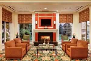 sala de estar con chimenea y TV en Hilton Garden Inn Oakbrook Terrace en Oakbrook Terrace