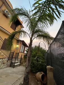 a palm tree in front of a house at Camera relax riservata intero appartamento in Carini