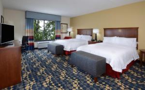 um quarto de hotel com duas camas e uma televisão de ecrã plano em Hampton Inn and Suites Lynchburg em Lynchburg
