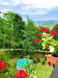 un giardino con piscina e fiori rossi di Vila Miandra a Breaza
