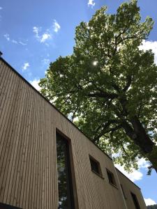 een boom naast een gebouw met een raam bij KampenZeit Loft mit traumhaftem Panoramablick in Aschau im Chiemgau