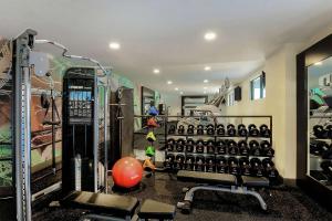 Fitness centrum a/nebo fitness zařízení v ubytování Hampton Inn & Suites Austin - Downtown
