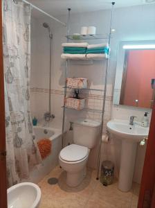 y baño con aseo, lavabo y ducha. en Apartamento Belobodia, en Cáceres