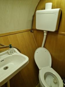 a bathroom with a toilet and a sink at Free Room Boat Apartment in Belgrade