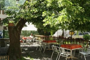 un groupe de tables et de chaises sous un arbre dans l'établissement Albergo Piz Cam, à Vicosoprano