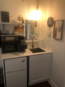 eine Küche mit einer Spüle und einer Arbeitsplatte in der Unterkunft 18 Vine Inn & Carriage House in Hammondsport