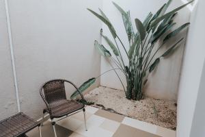 uma cadeira e uma planta num quarto em Portal Hotel Mogi Mirim em Mogi-Mirim