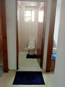 a bathroom with a toilet in a room with blue rugs at Amalya suites . in Eldoret