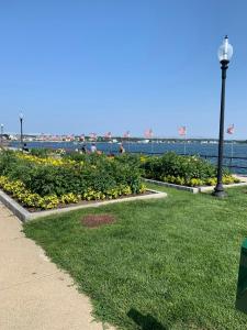 a park with flowers and a street light next to the water at Spacious 2nd floor split level with scenic views of Gloucester in Gloucester