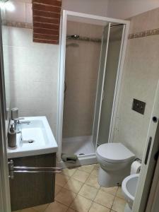 a bathroom with a shower and a toilet and a sink at House of terme bilocale a due passi dalle terme di rapolano in Rapolano Terme