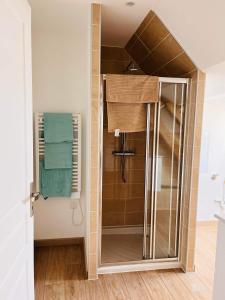 eine Dusche mit Glastür im Bad in der Unterkunft Appartement 4 personnes in Nesle
