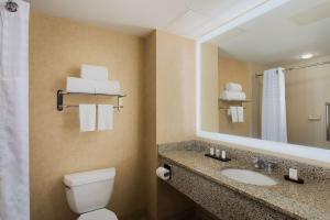Embassy Suites by Hilton Dallas Frisco Hotel & Convention Center的一间浴室
