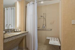 Embassy Suites by Hilton Dallas Frisco Hotel & Convention Center的一间浴室