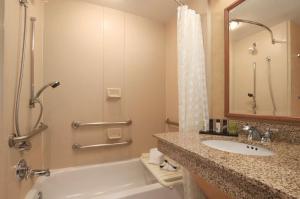 Embassy Suites by Hilton Dallas Frisco Hotel & Convention Center的一间浴室