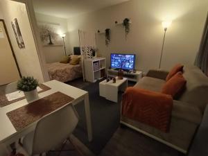 Televízia a/alebo spoločenská miestnosť v ubytovaní Le Jaude Centre studio