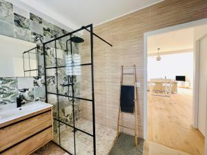 uma casa de banho com um chuveiro e um lavatório. em résidence belle vue em Fontaine-le-Port