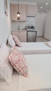 Kuchyň nebo kuchyňský kout v ubytování Elite Residence