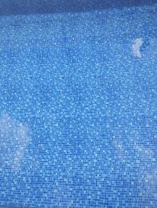 a blue tile floor in a swimming pool at Pousada Acolhedora in Ribeirão Preto