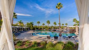a pool at a resort with chairs and palm trees at Conrad Algarve in Quinta do Lago