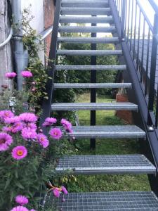 a set of stairs with pink flowers at Appart dans longère Normande au coeur de la Forêt de Lyons in Bézu-la-Forêt +2 photos