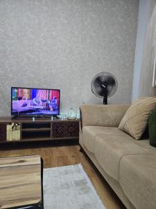 Clover Flower house في إسطنبول: غرفة معيشة مع أريكة وتلفزيون بشاشة مسطحة